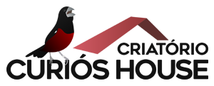 Criatório Curiós House - Praia Clássico - Valinhos/SP